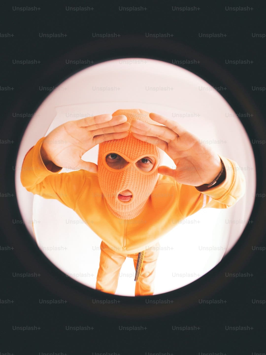 《献鱼》原著神交是什么意思？
